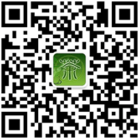 茶艺师培训